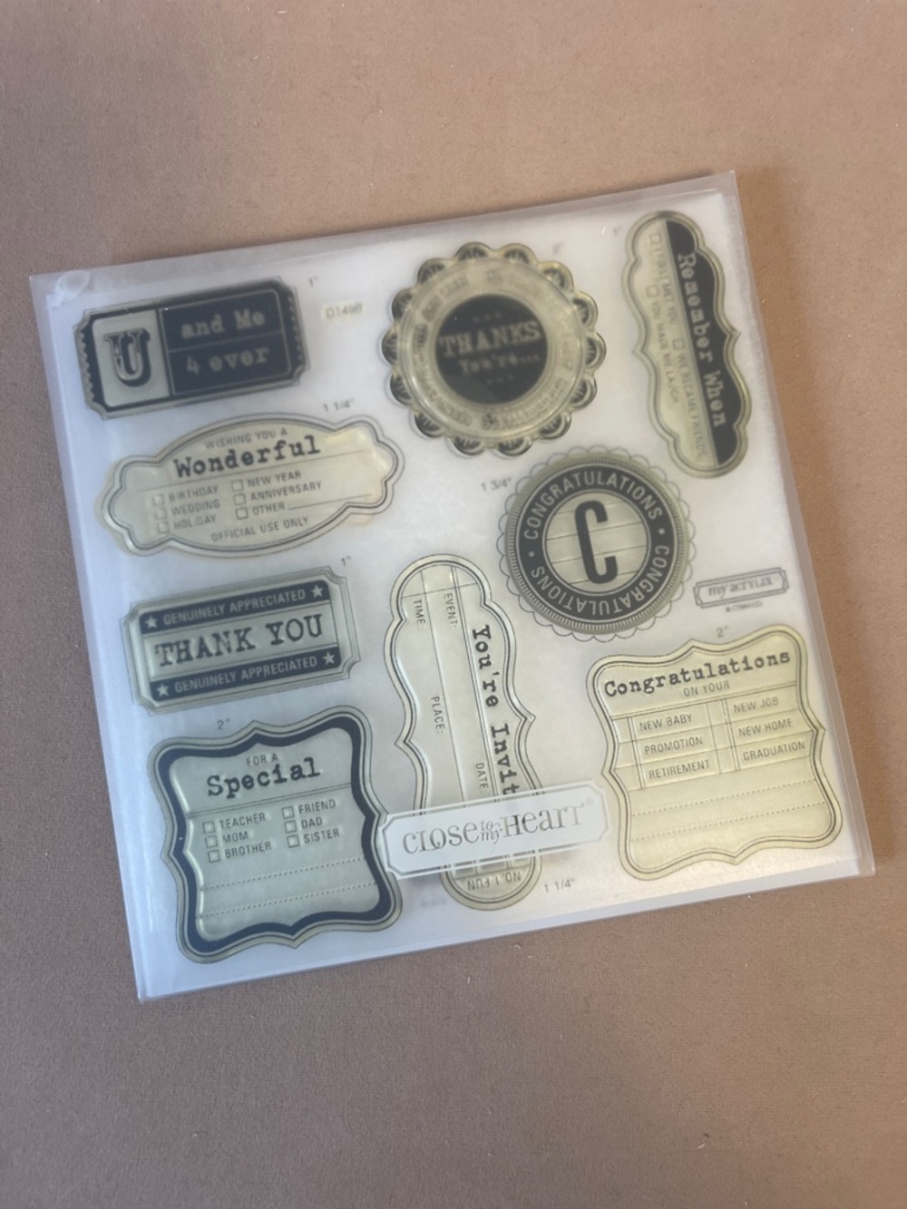 CLOSE TO MY HEART Sentiment Stamp Set - D1496 Cricut Art Philosophy Tags